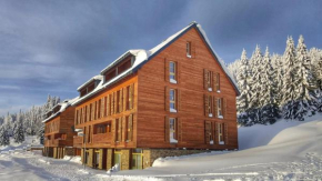 Horní Mísečky - apartmán M20, Horní Marsov